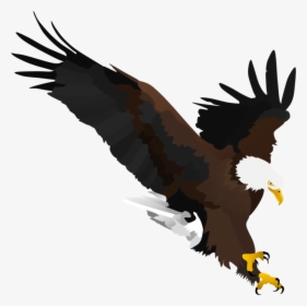 Bald Eagle By Fox-shade - Eagle Shade, HD Png Download, Transparent PNG