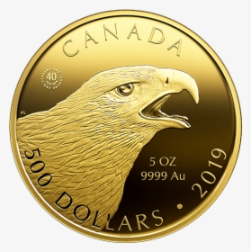 2019 Gold Coins, HD Png Download, Transparent PNG