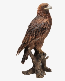 Small Pictures Of Golden Eagles, HD Png Download, Transparent PNG