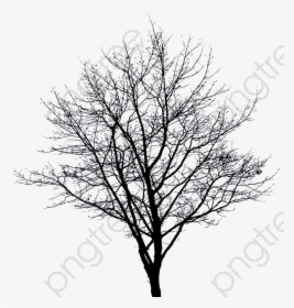 Apple Tree Clipart Winter - Winter Tree Silhouette Png, Transparent Png, Transparent PNG