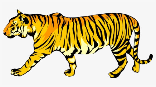 Vector Illustration Of Royal Bengal Tiger From From - Clip Art Of Royal Bengal Tiger, HD Png Download, Transparent PNG