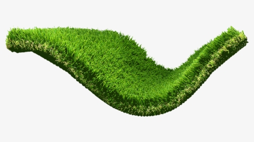 Desert Oasis Wavy Green Artificial/synthetic Grass/turf - Lawn, HD Png Download, Transparent PNG