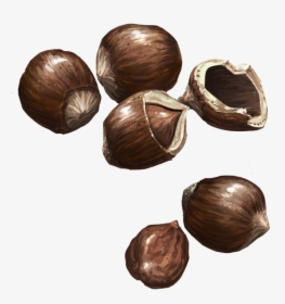 Hazelnuts - Chocolate, HD Png Download, Transparent PNG