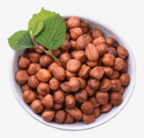 Hazelnuts Improve Older Adult’s Micronutrient Levels, - Chocolate, HD Png Download, Transparent PNG