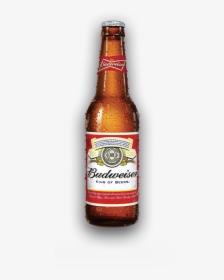 Busch Light Beer Bottle, HD Png Download, Transparent PNG