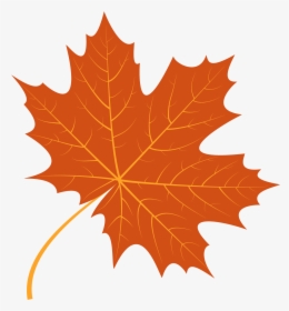 Autumn Leaf Free Vector, HD Png Download, Transparent PNG