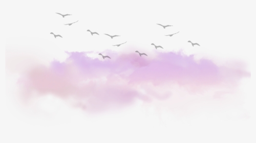 Clouds Cloud Birds Tumblr Kawaii Ftestickers - Bird Migration, HD Png Download, Transparent PNG