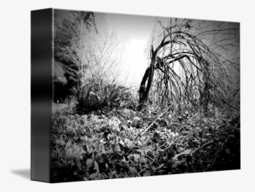 Clip Art Dark Photography Tumblr - Monochrome, HD Png Download, Transparent PNG