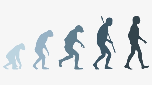 Human Evolution Png - Evolution Of Man Png, Transparent Png, Transparent PNG