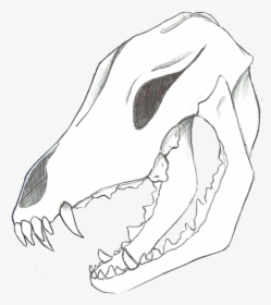 Arm Drawing Skull - Illustration, HD Png Download, Transparent PNG