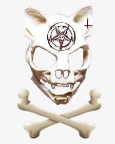 #freetoedit #satan #wolf #skull #bone #wolfskull - Skull, HD Png Download, Transparent PNG