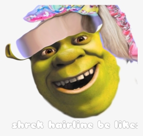 No Offense, But I Find Jojo Siwa Annoying And Horrible, - Shrek Roblox Decal, HD Png Download, Transparent PNG