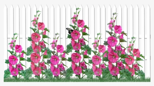 Flowers, Hollyhocks, Picket Fence, Garden, Nature - Dendrobium, HD Png Download, Transparent PNG