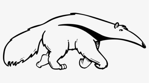 Cats Vector Cat Outline - Anteater Black And White, HD Png Download, Transparent PNG