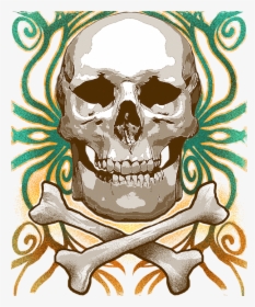 Skull, Halloween, Skeleton, Bones, Pirate, Spooky - Skull, HD Png Download, Transparent PNG