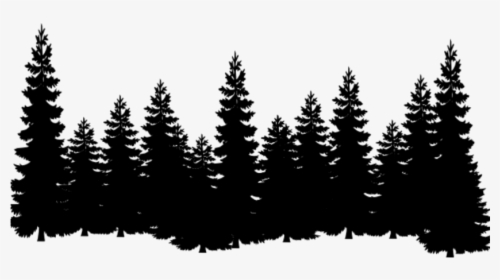 Eastern White Pine Tree Clip Art Cedar - Pine Tree Silhouette Png, Transparent Png, Transparent PNG