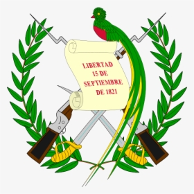 600px-guatemala Coa - Svg - Guatemala Coat Of Arms, HD Png Download, Transparent PNG