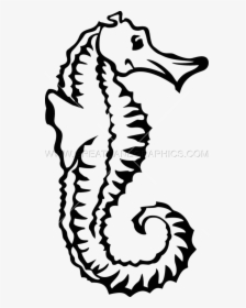 Transparent Seahorse Clipart - Black And White Pictures Of Sea Horse, HD Png Download, Transparent PNG