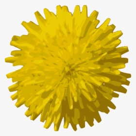 Transparent Dandelion Vector Png - Flowers, Png Download, Transparent PNG