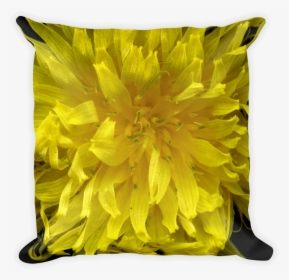 Sunflower , Png Download - Dandelion, Transparent Png, Transparent PNG