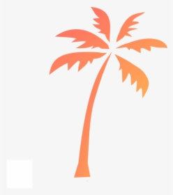 Palm Tree Public Domain, HD Png Download, Transparent PNG