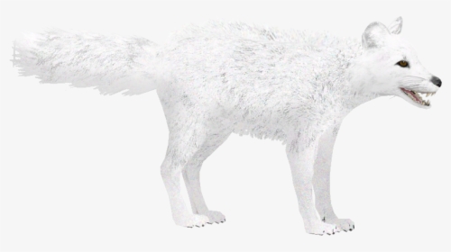 Arctic Fox Winter - Arctic Fox Zoo Tycoon 2, HD Png Download, Transparent PNG