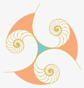 Chambered Nautilus, HD Png Download, Transparent PNG