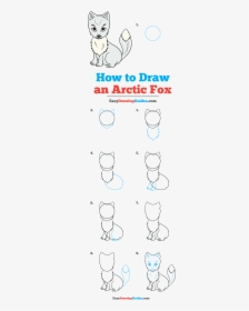 How To Draw Arctic Fox - Step By Step How To Draw An Arctic Fox, HD Png Download, Transparent PNG