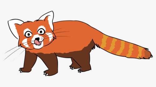 Baby Raccoon Images Free Download Clipart - Red Panda Clipart, HD Png Download, Transparent PNG