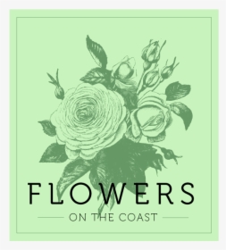 Flowers On The Coast - Rose, HD Png Download, Transparent PNG