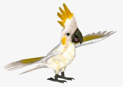 Transparent Cockatoo Png - Zoo Tycoon 2 Cacatua, Png Download, Transparent PNG