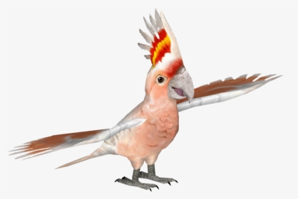 Cockatoomajormichels Tamara Henson - Macaw, HD Png Download, Transparent PNG