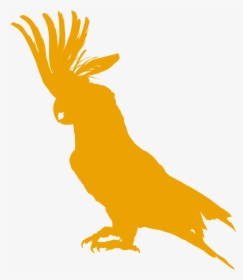 The Cockatoo Bar & Restaurant - White Parrot Birds, HD Png Download, Transparent PNG