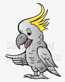 Sulphur Cockatoo Pointing Left - Illustration, HD Png Download, Transparent PNG