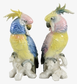 Pair Karl Ens Vintage Porcelain Cockatoos 1919-1945 - Karl Ens Birds, HD Png Download, Transparent PNG