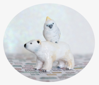 Polar Bear And Cockatoo, HD Png Download, Transparent PNG