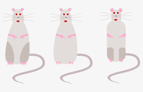 Rats, Mice, Rodents, Mouse, Rat, Rodent, Cartoon - Gambar Grub Tikus Hitam, HD Png Download, Transparent PNG