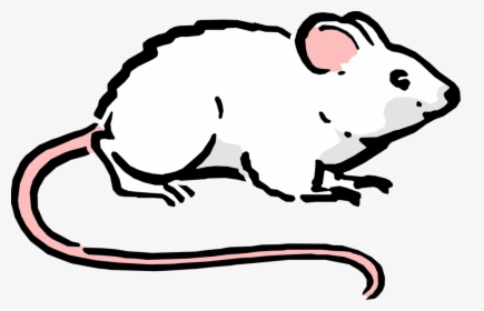 Cartoon Mouse Image Illustration - Vivo Experiments, HD Png Download, Transparent PNG