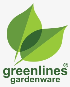 Graphic Design, HD Png Download, Transparent PNG