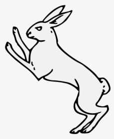 Transparent Hare Png - Domestic Rabbit, Png Download, Transparent PNG