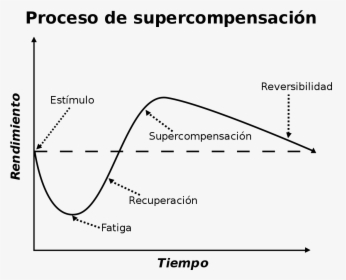 Principios Fundamentales Del Entrenamiento Deportivo, HD Png Download, Transparent PNG