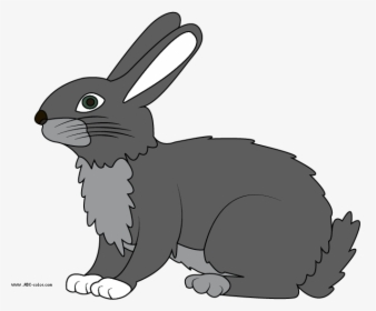 Hare - Clipart - - Hare Clipart, HD Png Download, Transparent PNG