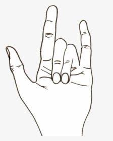 Thumb Image - Contour Line Hand Drawing, HD Png Download, Transparent PNG