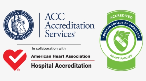 Tampa General Hospital Accredited By The American College - American College Of Cardiology, HD Png Download, Transparent PNG