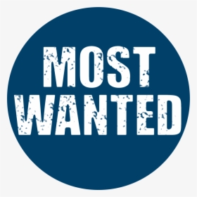 Transparent Most Wanted Png - Most Wanted Logo Designs, Png Download, Transparent PNG