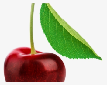 Cherry Png Transparent Images - Single Cherry Fruits, Png Download, Transparent PNG