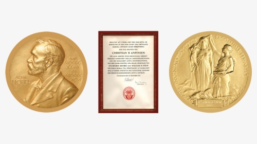Nobel Prize Medal Obverse And Reverse With Nobel Document - Coin, HD Png Download, Transparent PNG