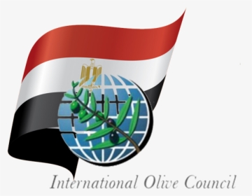 International Olive Council, HD Png Download, Transparent PNG