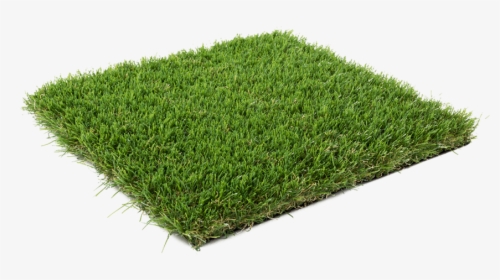 Transparent Ground Cover Png - 2 Synthetic Grass Lawn Dark, Png Download, Transparent PNG