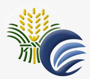 Department Of Agriculture Calabarzon - Philippine Coconut Authority Logo, HD Png Download, Transparent PNG